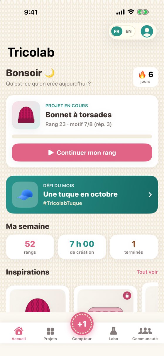 Accueil avec le projet en cours